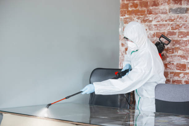 Why You Should Choose Our Mold Remediation Services in Lorena, TX